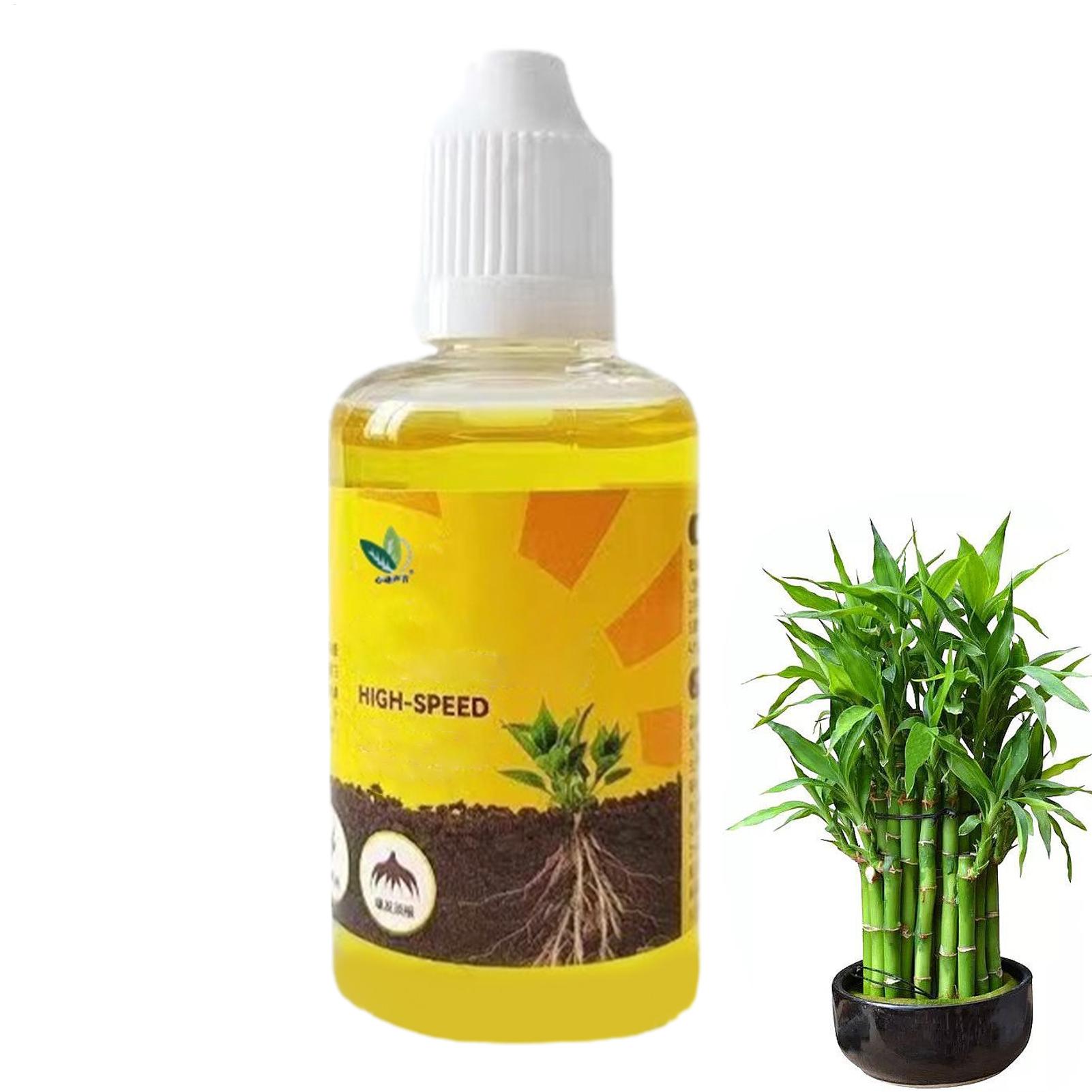 Root Stimulator Liquid - Plant Rooting Stimulator Liquid Plant Root