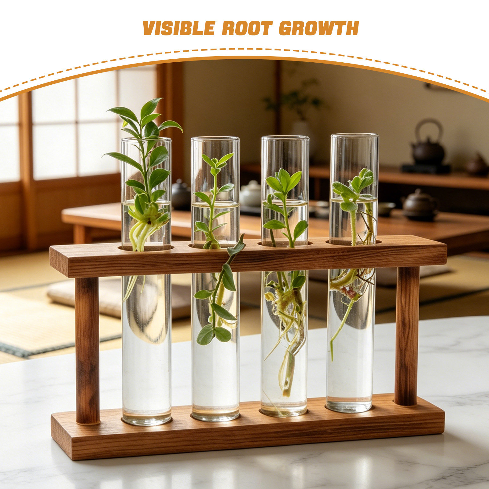 Wood Plant Propagation Station - Propagation Station Vase review and price