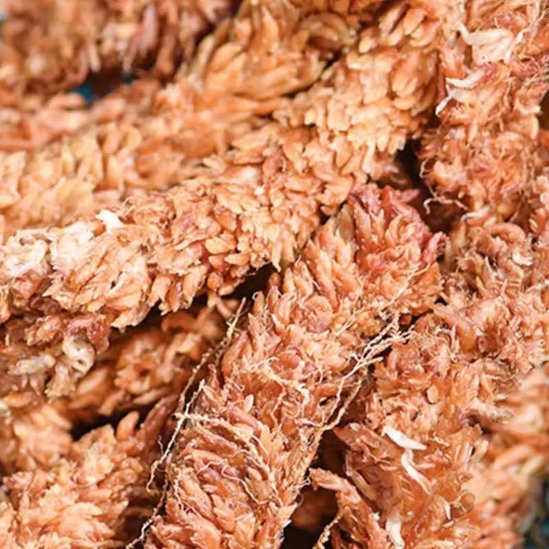Chilean Sphagnum Moss 150g Pre - Sphagnum Moss Dry review and price