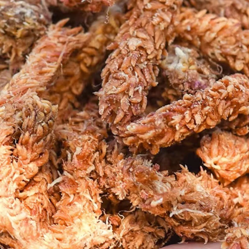 Chilean Sphagnum Moss 150g Pre - Sphagnum Moss Dry review and price