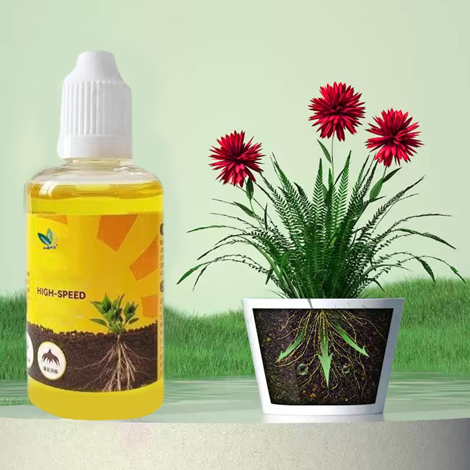 Plant Rooting Stimulator Liqui - Root Stimulator Liquid review and price