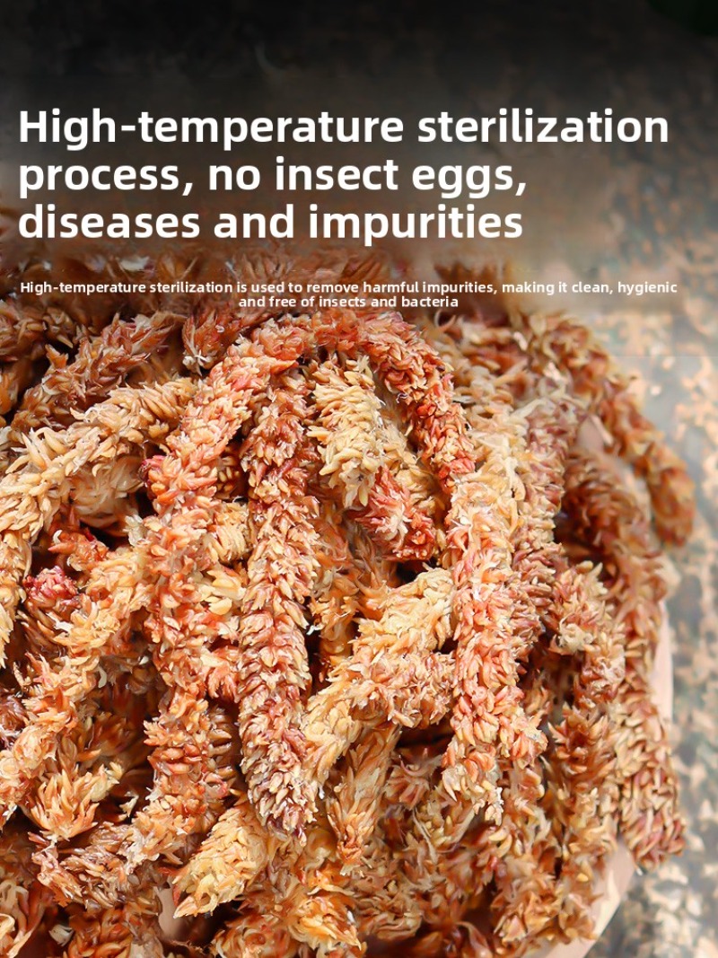 Chilean Sphagnum Moss 100g 200 - Sphagnum Moss Dry review and price