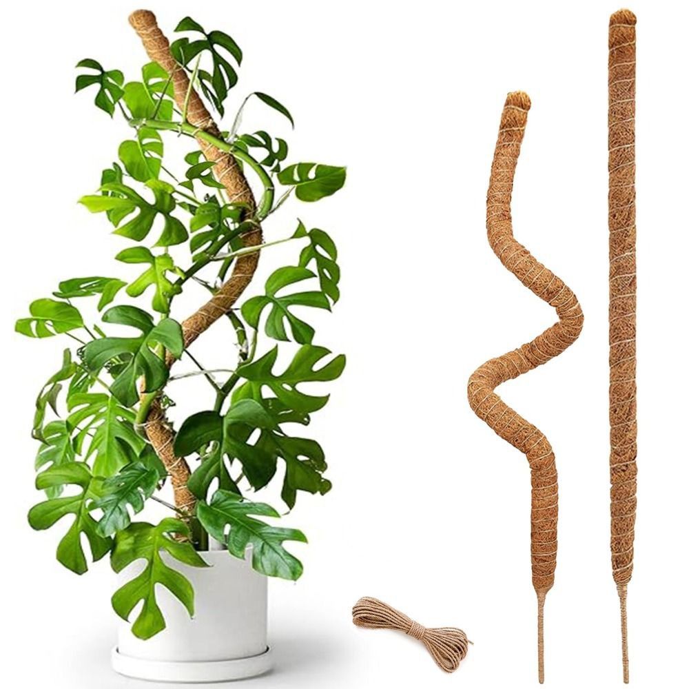 Plant Support Bendable Moss Po - Sphagnum Moss Dry review and price